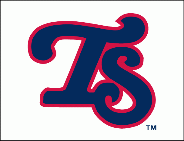 Tennessee Smokies 2010-Pres Cap Logo vinyl decal